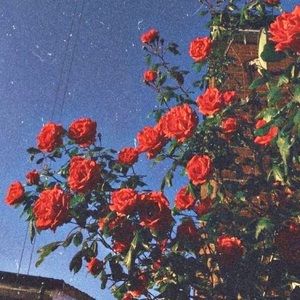 Meet your Posher, Bryanna